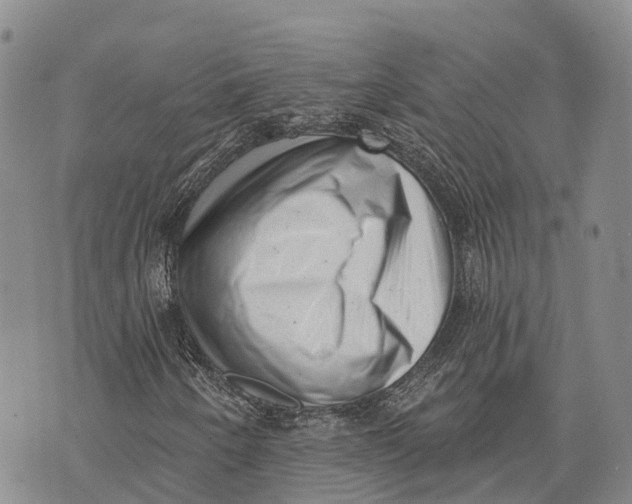 X0000072921250200608111501