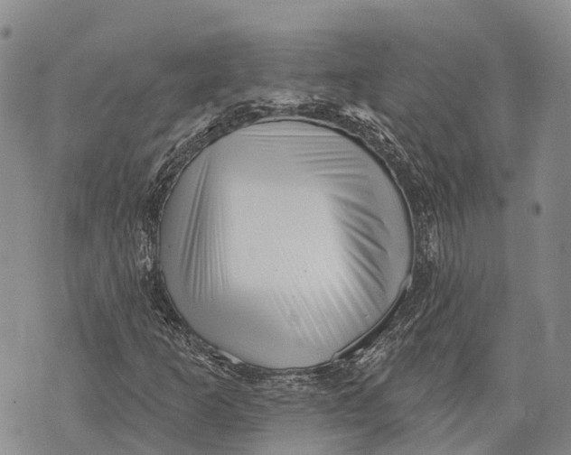 X0000072921253200608111501