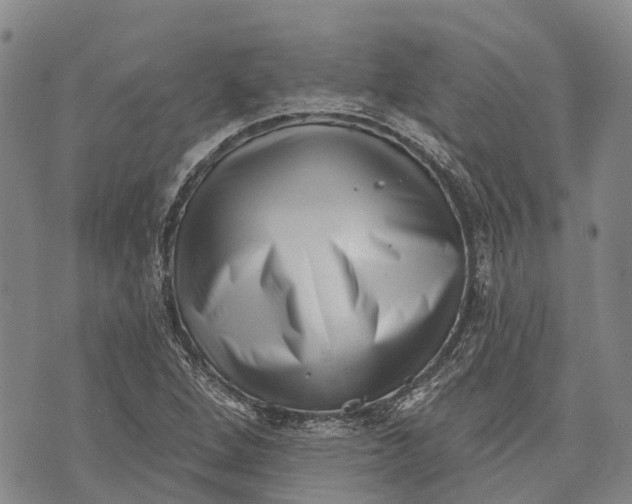 X0000072921264200608111501
