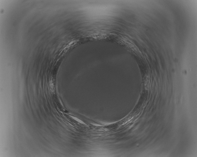 X0000072921298200608111500