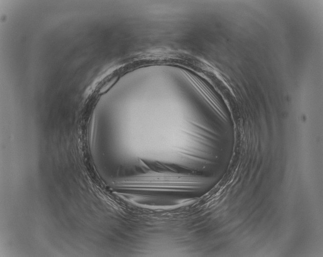 X0000072921304200608111500