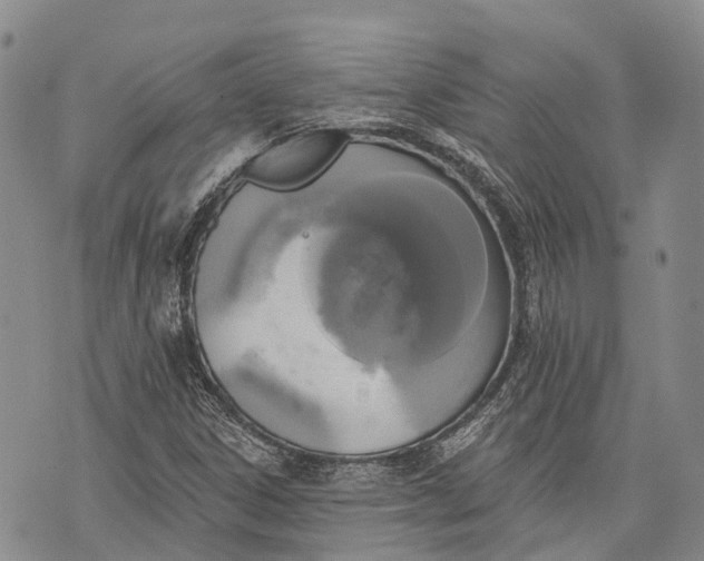 X0000072921306200608111500