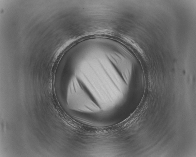 X0000072921316200608111500