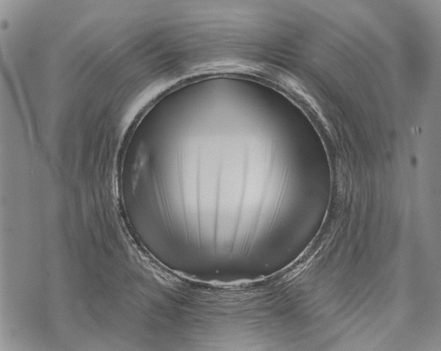 X0000072921328200608111500