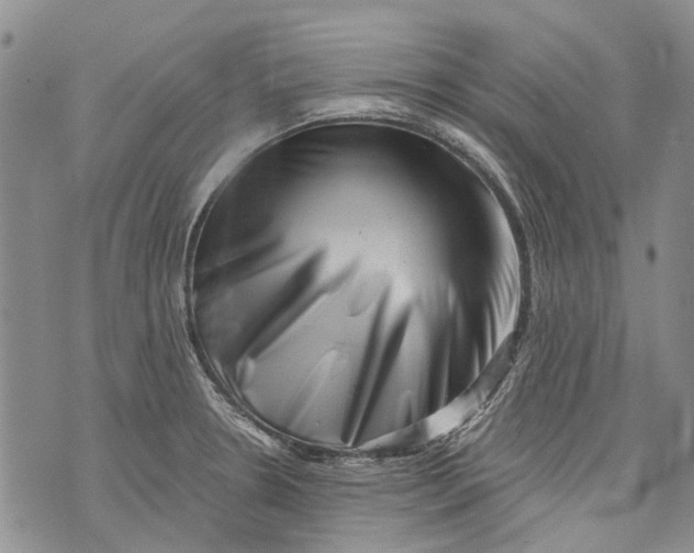 X0000072921330200608111500