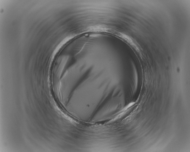 X0000072921331200608111500