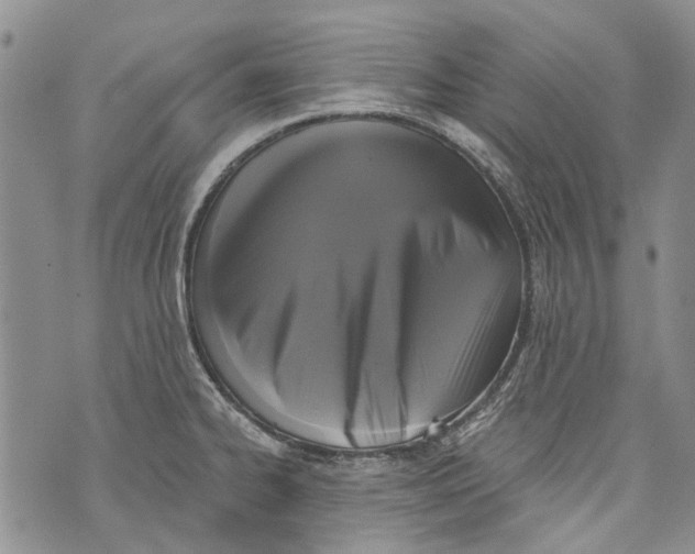 X0000072921334200608111500