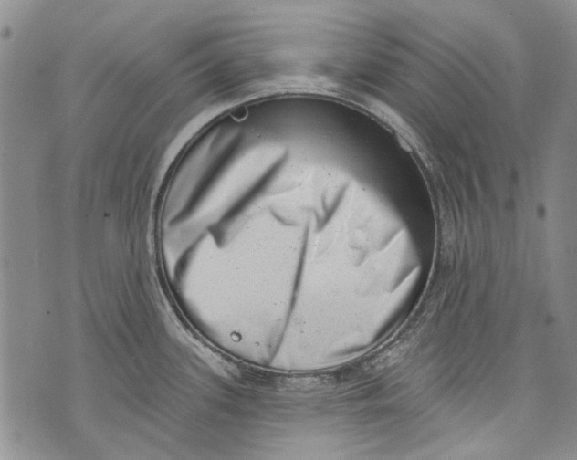 X0000072921339200608111501