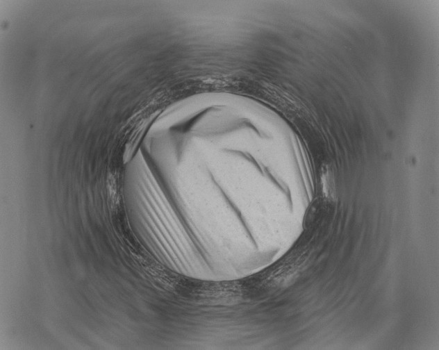 X0000072921347200608111500