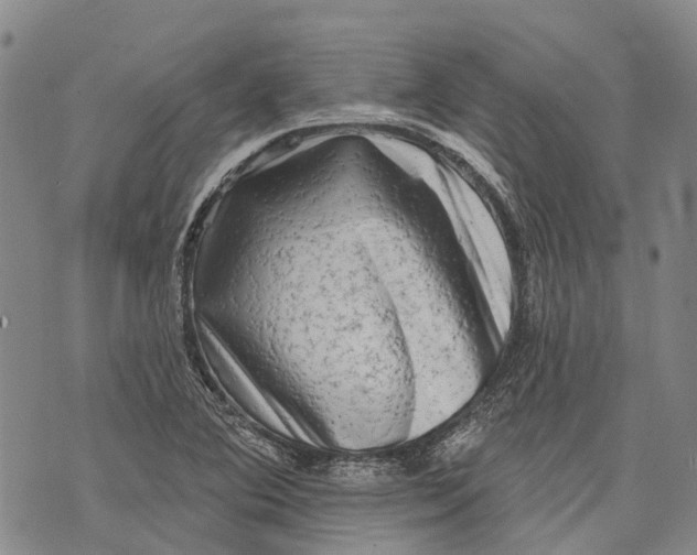X0000072921364200608111500
