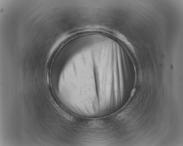 X0000072921368200608111459