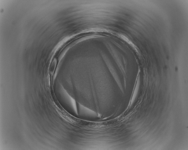 X0000072921372200608111459
