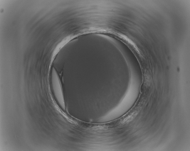 X0000072921373200608111459