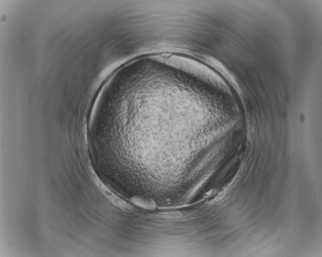 X0000072921388200608111459