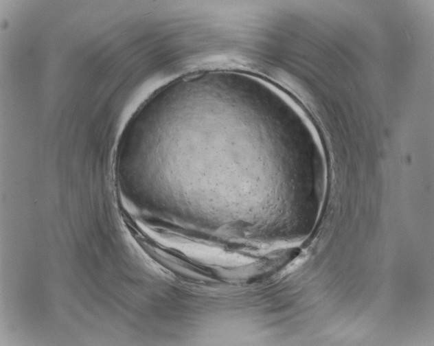 X0000072921392200608111459
