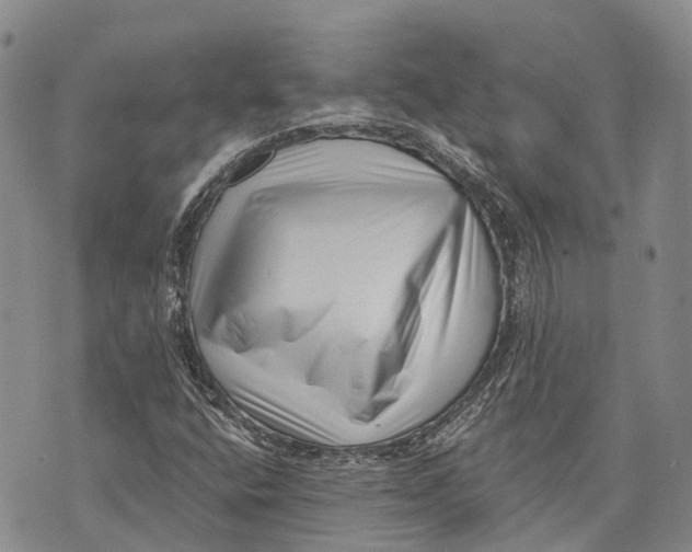 X0000072921400200608111458