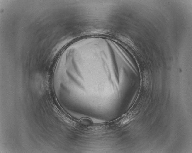 X0000072921404200608111458