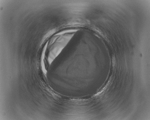 X0000072921405200608111458