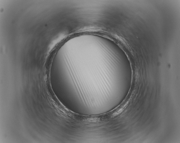 X0000072921406200608111458
