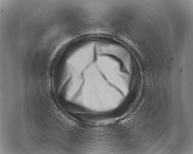 X0000072921408200608111459