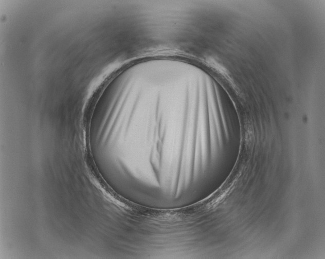 X0000072921414200608111459