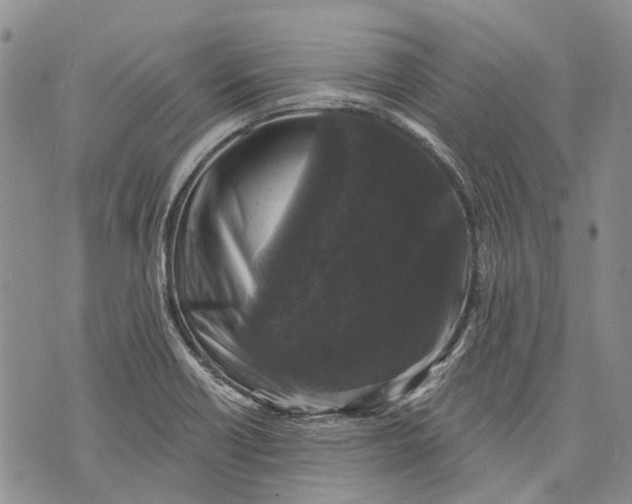 X0000072921418200608111459