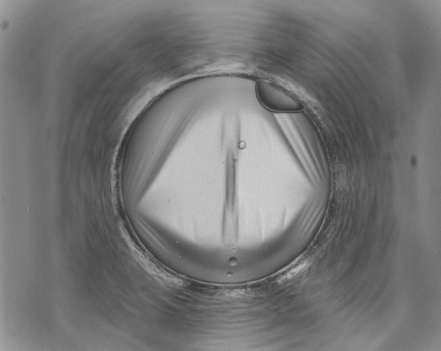 X0000072921423200608111459