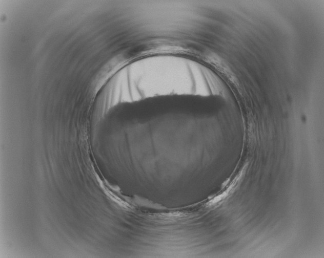 X0000072921425200608111459