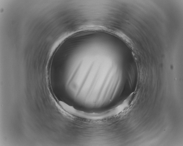 X0000072921430200608111459