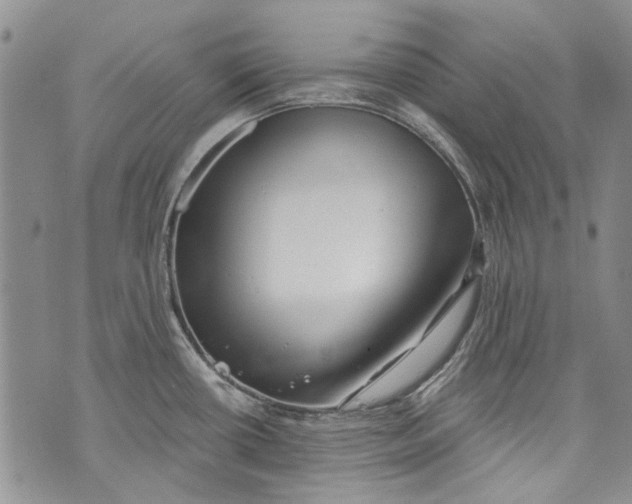 X0000072921434200608111459