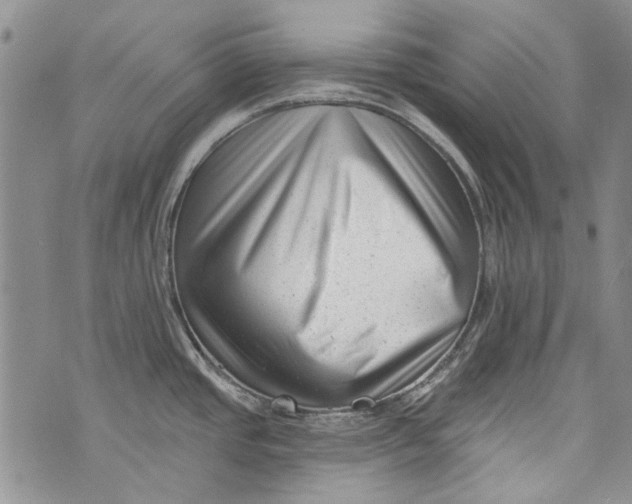 X0000072921437200608111459