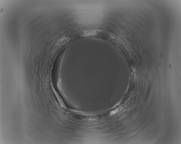 X0000072921441200608111458