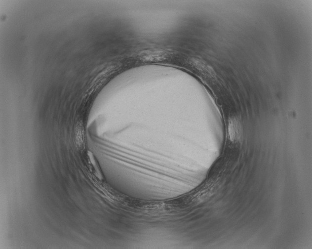 X0000072921444200608111458