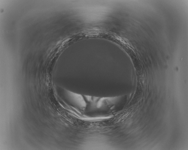 X0000072921445200608111458