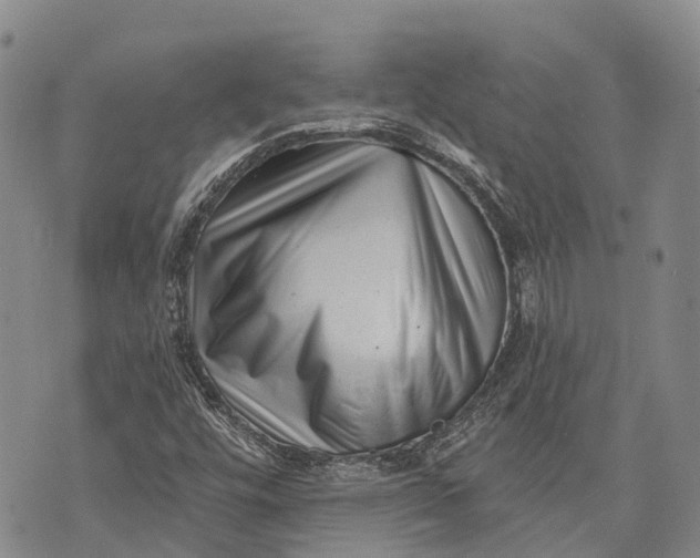 X0000072921448200608111458