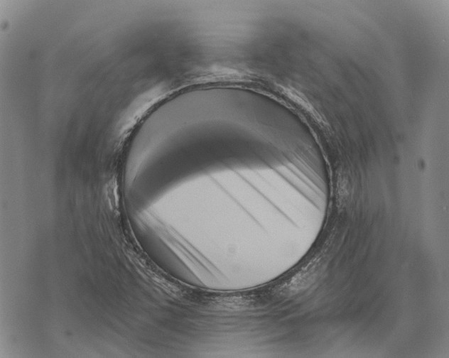 X0000072921455200608111458