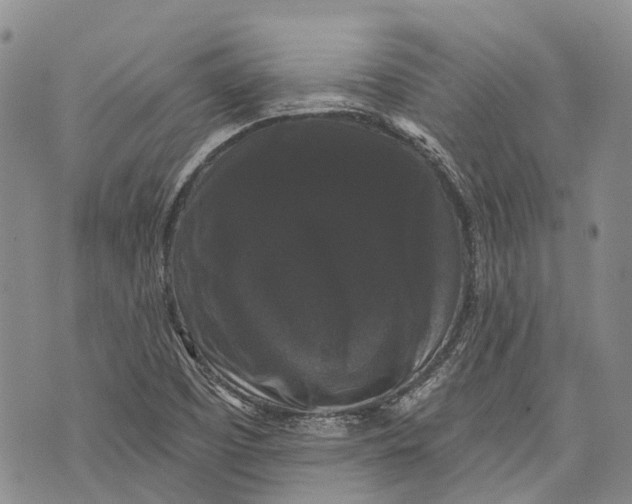 X0000072921457200608111458