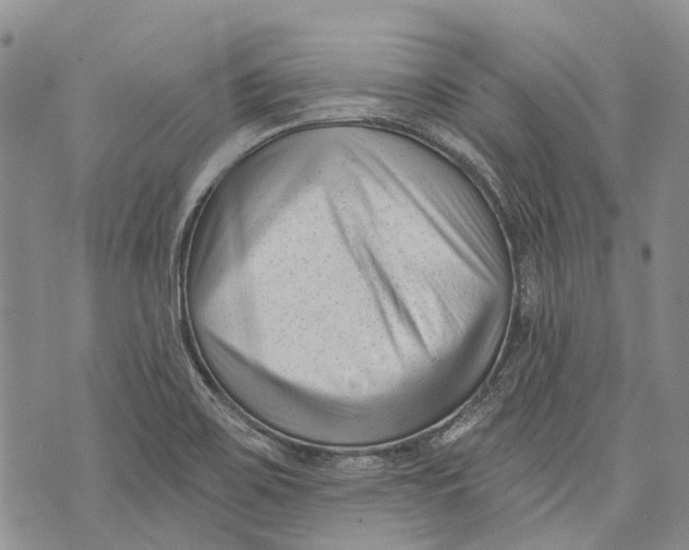 X0000072921467200608111458