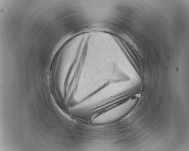 X0000072921484200608111458
