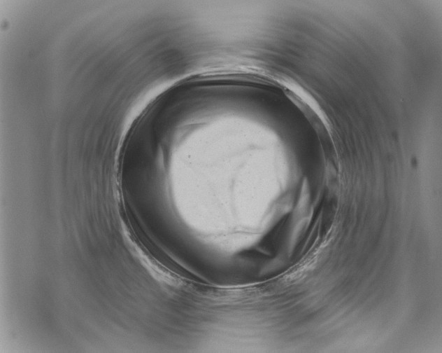 X0000072921485200608111458