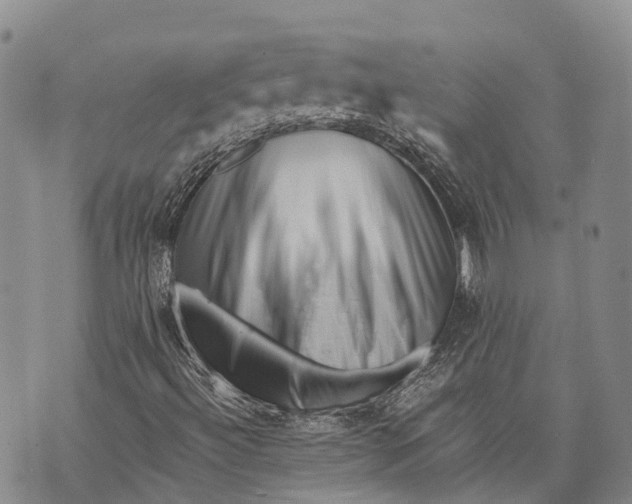 X0000072921492200608111457