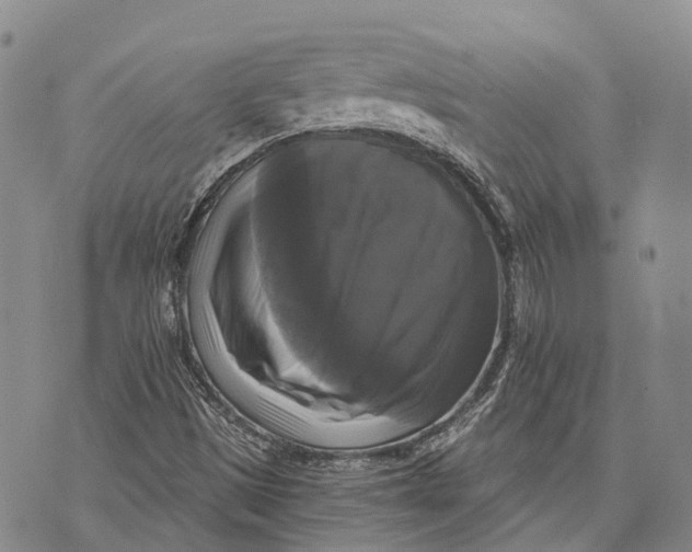X0000072921497200608111457