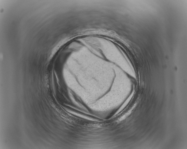 X0000072921501200608111457