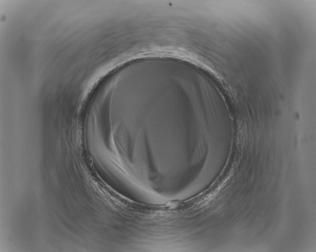 X0000072921506200608111457