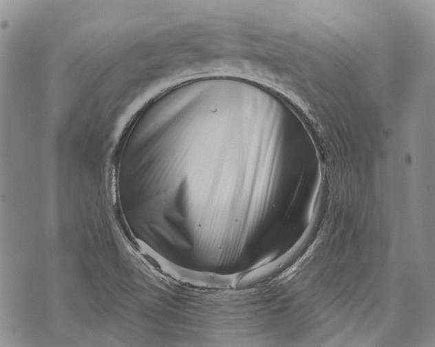 X0000072921510200608111457