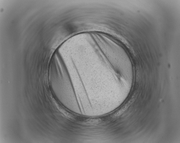 X0000072921513200608111457