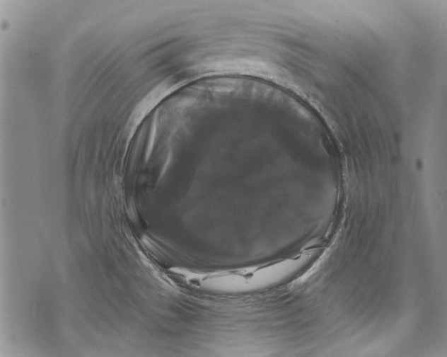 X0000072921529200608111457