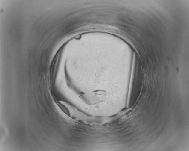 X0000072921531200608111457