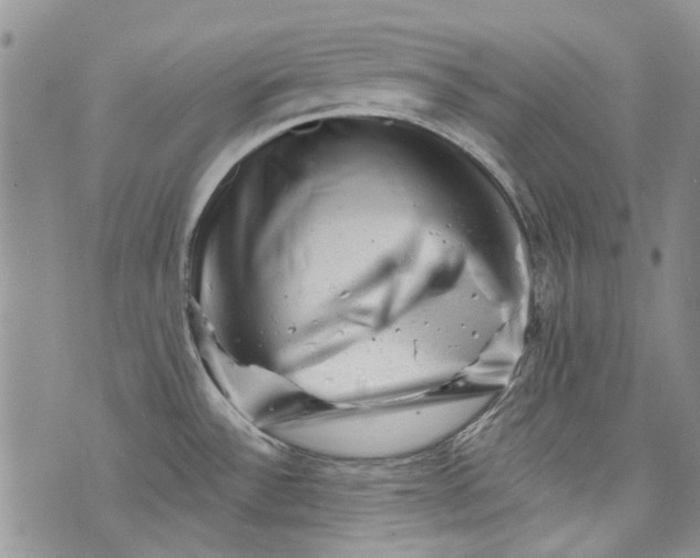 X0000072921532200608111457