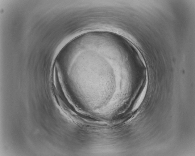 X0000072921536200608111457